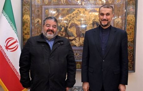 امیرعبداللهیان: حملات سایبری علیه زیرساخت‌های کشور را در مجامع بین‌المللی پیگیری می‌کنیم