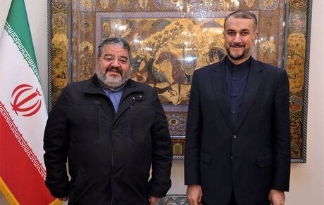 امیرعبداللهیان: حملات سایبری علیه زیرساخت‌های کشور را در مجامع بین‌المللی پیگیری می‌کنیم