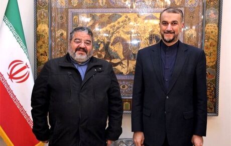 امیرعبداللهیان: حملات سایبری علیه زیرساخت‌های کشور را در مجامع بین‌المللی پیگیری می‌کنیم