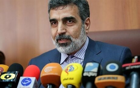 کمالوندی: بتن ریزی واحد ۲ نیروگاه بوشهر اوایل آبان انجام می‌شود