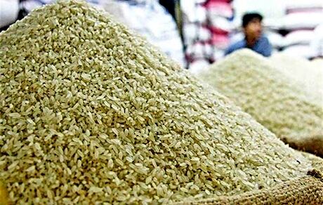 طرح پنج ساله جهش تولید برنج