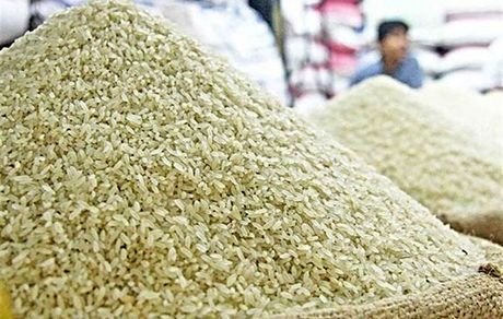 طرح پنج ساله جهش تولید برنج