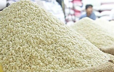 طرح پنج ساله جهش تولید برنج