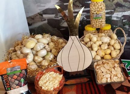 نخستین جشنواره موسیر روستای هدف گردشگری حبشی برگزار شد