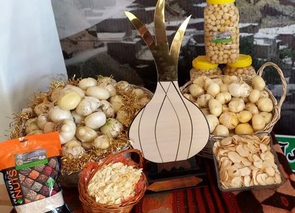 نخستین جشنواره موسیر روستای هدف گردشگری حبشی برگزار شد