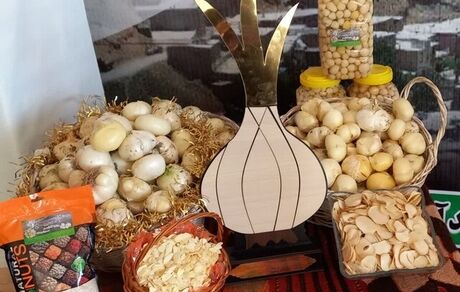 نخستین جشنواره موسیر روستای هدف گردشگری حبشی برگزار شد