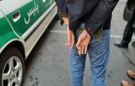 عامل تخریب خودروهای شهروندان سنندجی دستگیر شد