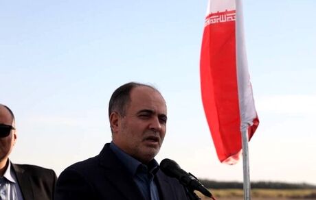 برای خرمای ایران، مشتری جهانی داریم