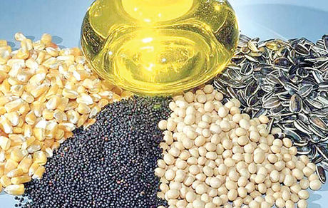 آغاز ثبت سفارش دانه‌های روغنی برای فصل زمستان از امروز 