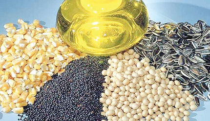 آغاز ثبت سفارش دانه‌های روغنی برای فصل زمستان از امروز 