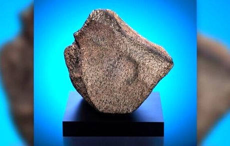 بزرگ‌ترین شهاب سنگ مریخی در معرض دید عموم قرار گرفت