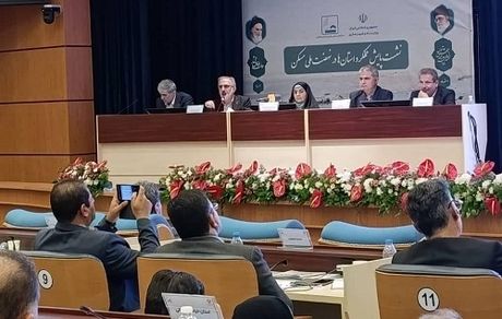 مدیر عامل بانک مسکن: بانک مسکن بازوی حمایتی دولت در طرح نهضت ملی مسکن است