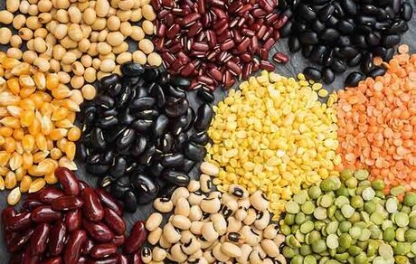 خودکفایی در تولید حبوبات یکی از اهداف مهم