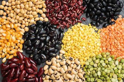 خودکفایی در تولید حبوبات یکی از اهداف مهم