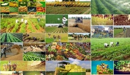 خودکفایی ۸۷ درصدی ایران در تولید محصولات کشاورزی 