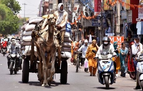 جان باختن ۱۹ هندی بدلیل گرمای شدید