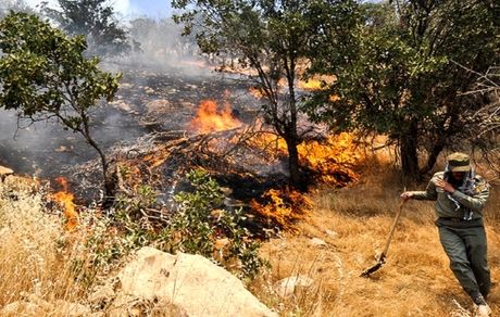 ثبت سالانه ۱۸ هزار آتش‌سوزی در کشور / بیشتر حریق‌ها بدلیل عامل انسانی است