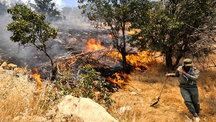 ثبت سالانه ۱۸ هزار آتش‌سوزی در کشور / بیشتر حریق‌ها بدلیل عامل انسانی است