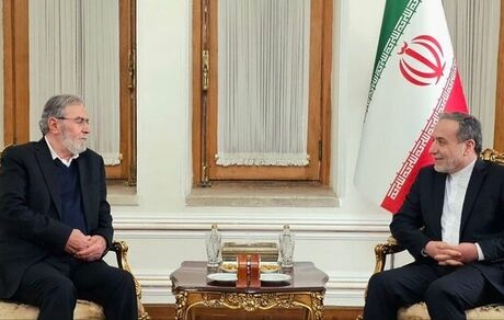 عراقچی: طرح مشترک صهیونیستی - آمریکایی برای کوچاندن اجباری مردم فلسطین، شوم و ناقض اصول است