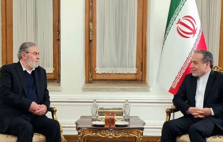 عراقچی: طرح مشترک صهیونیستی - آمریکایی برای کوچاندن اجباری مردم فلسطین، شوم و ناقض اصول است