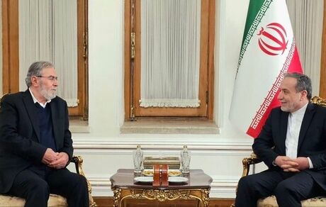 عراقچی: طرح مشترک صهیونیستی - آمریکایی برای کوچاندن اجباری مردم فلسطین، شوم و ناقض اصول است