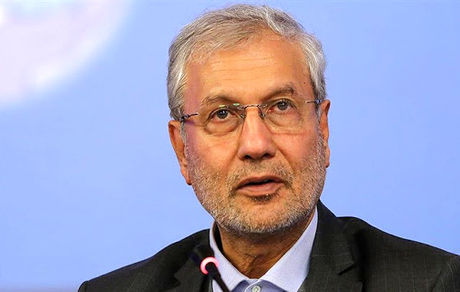 سخنگوی دولت: بنایی بر دخالت در انتخاب ارکان مجلس یازدهم نداریم