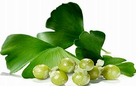 جینکو گیاه ضد آلزایمر