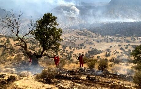 ادامه آتش سوزی مهیب در جنگل‌ها و مراتع باشت