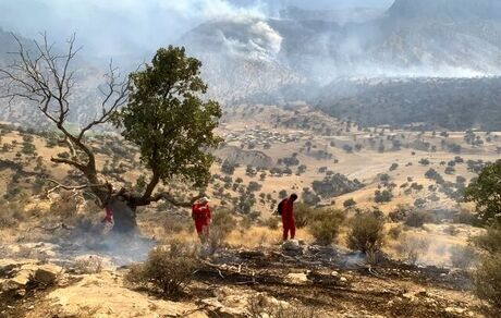 ادامه آتش سوزی مهیب در جنگل‌ها و مراتع باشت