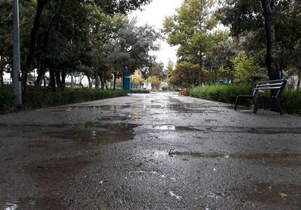 هشدار هواشناسی: کاهش دما تا ۷ درجه در ۷ استان کشور