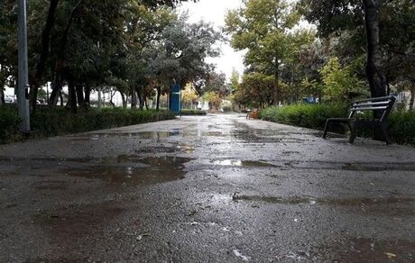 هشدار هواشناسی: کاهش دما تا ۷ درجه در ۷ استان کشور