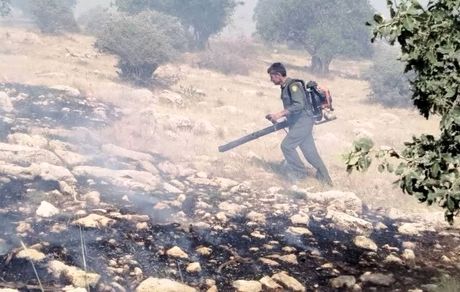 ۱۰ هکتار از مراتع جنگلی ارتفاعات قلاجه و روستای اکبر دهستان چله در آتش سوخت