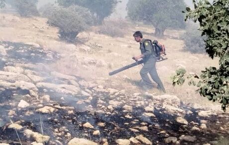 ۱۰ هکتار از مراتع جنگلی ارتفاعات قلاجه و روستای اکبر دهستان چله در آتش سوخت