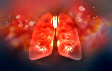 
چند خوراکی مفید برای تقویت ریه‌ها
