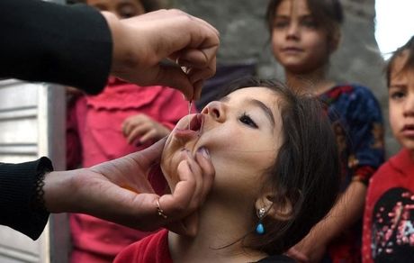 افراد مسلح، هشت کارمندان اداره بهداشت در افغانستان را کشتند