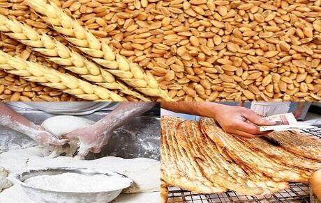 کنترل دائم کیفیت نان، گندم و آرد