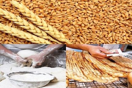 کنترل دائم کیفیت نان، گندم و آرد