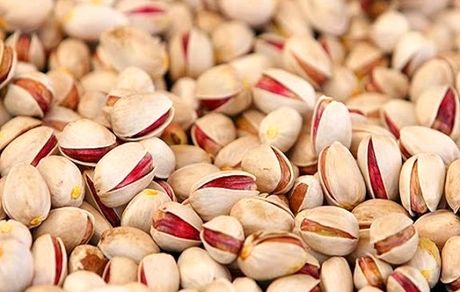 افزایش ۲۲ درصدی صادرات محصولات کشاورزی به رغم شیوع کرونا