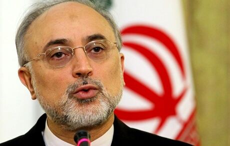 صالحی: امروز بخش قابل توجهی از راکتور اراک راه‌اندازی می‌شود 