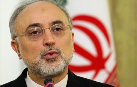 صالحی: امروز بخش قابل توجهی از راکتور اراک راه‌اندازی می‌شود 