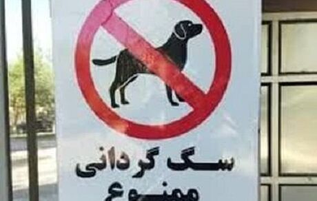 ممنوعیت سگ گردانی به کاشمر رسید