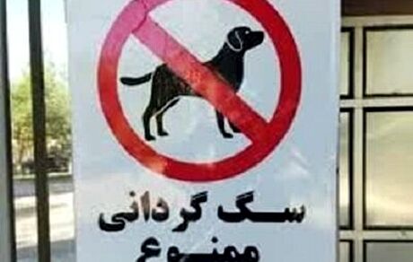 ممنوعیت سگ گردانی این بار در کرمان