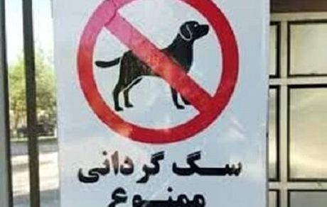 ممنوعیت سگ گردانی به کاشمر رسید