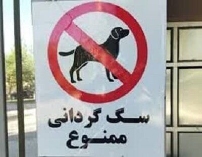 ممنوعیت سگ گردانی این بار در کرمان