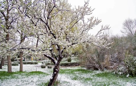 بارش ۲۰ سانتی برف در طالقان همزمان با ششمین روز نوروز