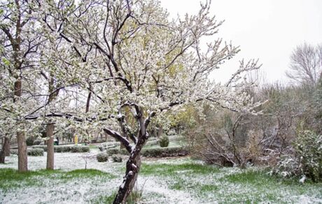 بارش ۲۰ سانتی برف در طالقان همزمان با ششمین روز نوروز