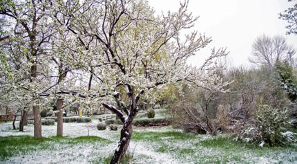 بارش ۲۰ سانتی برف در طالقان همزمان با ششمین روز نوروز