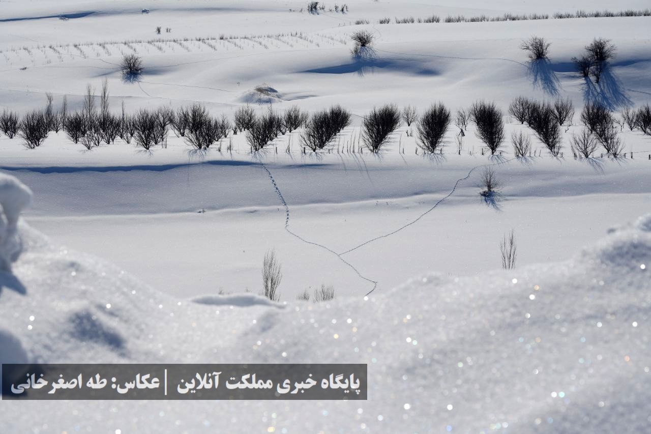 ارومیه زیر پوست برف