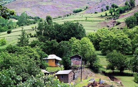 ۱۱۰ طرح هادی در استان گیلان در حال بازنگری است
