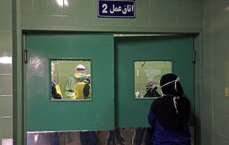 افزایش چشمگیر اهدا و پیوند عضو در چهار ماه ابتدایی امسال